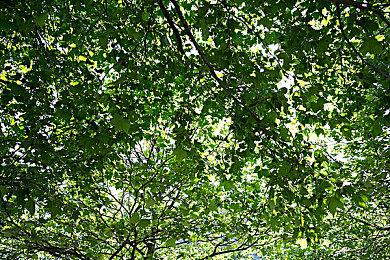 第一人称生存新作《Forever Skies》实机宣传片